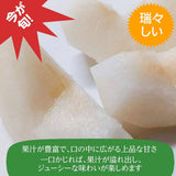 梨 【 佐藤果樹園 】 3kg  5～8個 贈答用 新潟県三条市 《9/中旬～9/下旬より出荷》