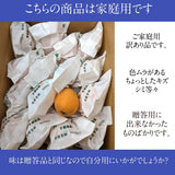 びわ 【谷柴農園】 房州びわ サイズ色々 1kg 家庭用 枇杷 千葉県南房総市 天皇献上の実績 《4/下旬～5/上旬より出荷》