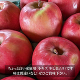 りんご 【信州安曇野 米山農園】 小玉りんご ピンクレディ ちょっと良い家庭用 2.5kg 10～15個 長野県安曇野 林檎 《1/中旬～1/下旬より出荷》