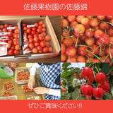 さくらんぼ 【佐藤果樹園】 佐藤錦 1kg 秀 L 《6/中旬～6/下旬の出荷》