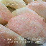 桃 【芦澤農園】 もも 高級 春日居の桃 2kg 中玉 6~7個 お中元 御中元 山梨県笛吹市 《6/下旬～7/上旬より出荷》