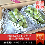 ぶどう 【カンジュクファーム】 葡萄 シャインマスカット 2房 1kg 贈答用 山梨県 《8/下旬～9/上旬より出荷》
