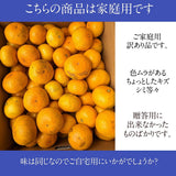 みかん 【とまハウス】 有田みかん 家庭用 訳あり 3㎏ 糖度11度以上 酸度0.85以下 約30玉 +補償分300g 和歌山県 蜜柑 ミカン 柑橘 《1/上旬～1/中旬の出荷》