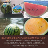 スイカ 【南原ファーム】 高級 波田スイカ 2L～3L 7～9kg 長野県松本市 御中元 《7/中旬より出荷》