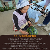 スイカ 【富里すいか園】 富里スイカ  L～2L 6～8kg 1個 千葉県富里市 すいか 父の日 《5/下旬～6/上旬より出荷》