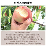 桃 【種まきうさぎ】硬い おどろき 2kg（5～7個） 福島県伊達市 《8/10～8/20の出荷》