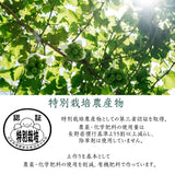 ぶどう 【境果樹園】 シャインマスカット クイーンルージュ 1~2房ずつ 約1kg 長野県須坂市 《9/下旬～10/上旬より出荷》
