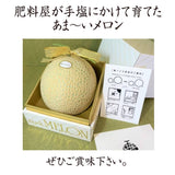 メロン 【トヨタ緑産】  肥料屋さんが作った あま～いメロン 1玉 1.2㎏ 贈答用 静岡県磐田市