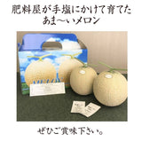 メロン 【トヨタ緑産】 肥料屋さんが作った あま～いメロン 2玉 2.4㎏ 贈答用 静岡県磐田市