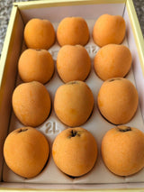 びわ 【谷柴農園】 房州びわ 大粒 2L 12個 1kg 贈答用 枇杷 千葉県南房総市 天皇献上の実績 母の日  父の日 《4/下旬～5/上旬より出荷》