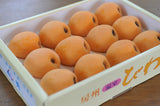 びわ 【谷柴農園】 房州びわ 希少 特大ビッグ 4L 12個 1.3kg 贈答用 枇杷 千葉県南房総市 天皇献上の実績 母の日 父の日 《4/下旬～5/上旬より出荷》