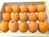 びわ 【谷柴農園】 房州びわ L 15個 1kg 贈答用 枇杷 千葉県南房総市 天皇献上の実績 母の日  父の日 《4/下旬～5/上旬より出荷》