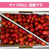 さくらんぼ 【桜桃慕庵】 佐藤錦 1kg M以上 山形県 東根市  《6/中旬～6/下旬の出荷》