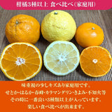 柑橘 【高石垣ファーム】 有田地区 柑橘食べ比べ 3種類以上 家庭用 4kg 訳あり みかん 和歌山県 《3/上旬～3/中旬より出荷》