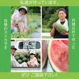 スイカ 【あさあけ農場】ペイズリースイカ 1玉 5〜6kg 山形県 尾花沢《7/下旬〜8/上旬より出荷》