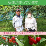 さくらんぼ 【佐藤幸男農園】 佐藤錦 2L 1kg 置き並べ 贈答用 プレゼント 福島県 《6/中旬～6/下旬の出荷》