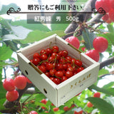 さくらんぼ 【一愛農園】 紅秀峰 500g 秀 2L 贈答 山形県東根市 《6/下旬～7/上旬の出荷》