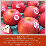 りんご 【信州安曇野 米山農園】 小玉りんご ピンクレディ ちょっと良い家庭用 4.5㎏ 20～28個 長野県安曇野 林檎 《1/中旬～1/下旬より出荷》