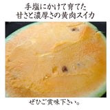 スイカ 【南原ファーム】 高級 波田スイカ 黄肉スイカ 2L～3L 7～9kg 長野県松本市 御中元 《7/中旬より出荷》