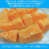 メロン 【阿部商店】 夕張メロン 贈答用 共撰 良品以上 1玉 1.2～1.5kg  お中元 御中元 プレゼント ギフト 北海道 《7/上旬～7/中旬出荷》