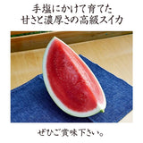 スイカ 【南原ファーム】 高級 波田スイカ 2L～3L 7～9kg 長野県松本市 御中元 《7/中旬より出荷》