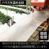 いちご 【有慶農園】 とちおとめ  250ｇ×４パック 福島県須賀川 苺 イチゴ