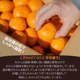 みかん 【とまハウス】 有田みかん 家庭用 訳あり 3㎏ 糖度11度以上 酸度0.85以下 約30玉 +補償分300g 和歌山県 蜜柑 ミカン 柑橘 《1/上旬～1/中旬の出荷》