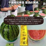 スイカ 【富里すいか園】 特大 富里スイカ 4L 1個 9kg以上 千葉県富里市 すいか 父の日 《5/下旬～6/上旬より出荷》