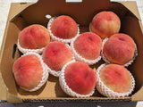 桃 【菊池園芸】 もも あかつき まどか 3kg 8～12個 福島県 伊達市 贈答用 ステビア桃  《7/下旬～8/上旬より出荷》