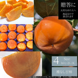 柿 甘柿 【フルーツファームいしくら】 富有柿等 皇室献上の味 広瀬の柿 4kg L 18 個  山梨県笛吹市 種なし かき《10/下旬～11/上旬の出荷》