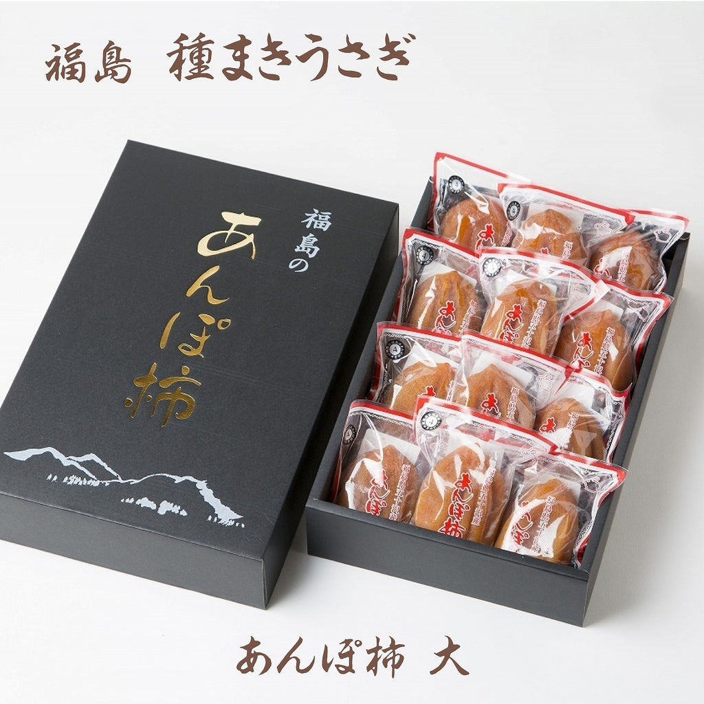 干し柿 【種まきうさぎ】 五十沢 あんぽ柿 約900g  12個 化粧箱 福島県伊達 干柿《12/下旬より出荷》