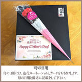 さくらんぼ 【一愛農園】 佐藤錦 M 特秀 100g×2 & 山形産フルーツゼリー 贈答用 母の日 父の日 山形県東根市 《4/下旬～5/上旬より出荷》