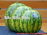 スイカ 【南原ファーム】 高級 波田スイカ 2L～3L 7～9kg 長野県松本市 御中元 《7/中旬より出荷》