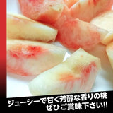 桃 【蓬田さん】 献上桃の郷 もも 3kg 10～12玉 贈答用 福島県桑折町 《7/下旬～8/上旬より出荷》