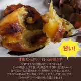 焼いも 【GOVタカノ】 農家さんが作る 焼き芋 ミニ焼芋 800g 茨城県鉾田市 《12/上旬～中旬より出荷》