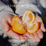 みかん 【とまハウス】 有田みかん 家庭用 訳あり 3㎏ 糖度11度以上 酸度0.85以下 約30玉 +補償分300g 和歌山県 蜜柑 ミカン 柑橘 《1/上旬～1/中旬の出荷》