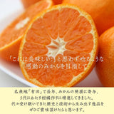 柑橘 【高石垣ファーム】 有田地区 柑橘食べ比べ 3種類以上 家庭用 4kg 訳あり みかん 和歌山県 《3/上旬～3/中旬より出荷》