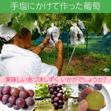 ぶどう 【佐藤果樹園】 あづましずく 2kg 3〜4房 贈答用 福島県 ブドウ 葡萄 《8/中旬～下旬出荷》
