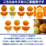 柑橘 【高石垣ファーム】 有田地区 柑橘食べ比べ 3種類以上 家庭用 4kg 訳あり みかん 和歌山県 《3/上旬～3/中旬より出荷》