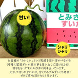 スイカ 【富里すいか園】 特大 富里スイカ 4L 1個 9kg以上 千葉県富里市 すいか 父の日 《5/下旬～6/上旬より出荷》