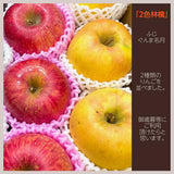 りんご 【有我果樹園】 2色 リンゴ ぐんま名月 フジ 5kg 16～18個 御歳暮 福島県須賀川市《11/下旬～12/上旬より出荷》