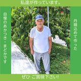 桃 【菊池園芸】 もも あかつき まどか 3kg 8～12個 福島県 伊達市 贈答用 ステビア桃  《7/下旬～8/上旬より出荷》