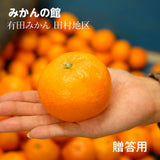 みかん 【みかんの館】 有田みかん ブランド産地 田村地区産 M 10kg 90~100個 和歌山県 蜜柑 ミカン 柑橘 《11/上旬～11/中旬より出荷》