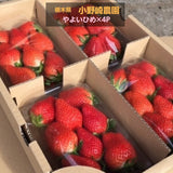 いちご 【小野崎農園】 やよいひめ　大玉Aサイズ（280g 8～12粒)×4パック  栃木県