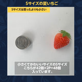 いちご 夏いちご  雷峰 2000g ミニ S （500g 42×2P 84個)×4箱 秀 福島 飯館 ケーキ お菓子作り イチゴ 苺 夏 業務用