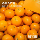 みかん 【みかんの館】 有田みかん ブランド産地 田村地区産 S 5kg 約60個 和歌山県 蜜柑 ミカン 柑橘 《11/上旬～11/中旬より出荷》