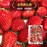 いちご 【有慶農園】 とちおとめ  250ｇ×４パック 福島県須賀川 苺 イチゴ