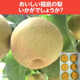 梨 【グリーンファーム】 萱場梨 ３kg  Lサイズ以上　６~8玉 贈答用 福島県 福島市 和梨 《8/下旬～9/上旬より出荷》
