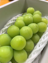 ぶどう 【土屋農園】 葡萄 シャインマスカット 5～7房 3.8㎏ 贈答用 山形県 高畠 《9/中旬～9/下旬より出荷》 フルーツ 果物