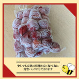 いちご 冷凍いちご  10kg 栃木県産 品種大きさ色々 イチゴ 苺 完熟 国産 業務用 真空パック